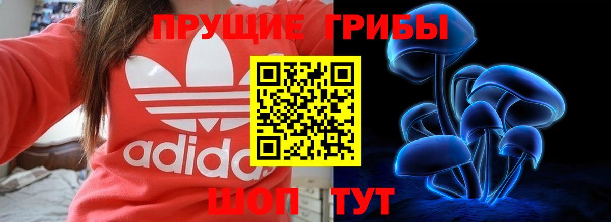 Чехов  Псилоцибиновые грибы ЛСД  Вход с VPN  Галлюциногенные грибы мицелий 